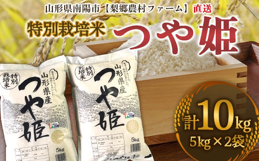 【農薬使用量8割減】 特別栽培米 つや姫 10kg (5kg×2袋) 『梨郷農村ファーム』 山形南陽産 米 精米 ご飯 農家直送 山形県 南陽市 [834]