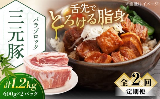 【全2回定期便】三元豚 バラブロック1.2kg（600g×2パック）《喜茂別町》【平田牧場】 肉 豚肉 バラ ブロック 煮豚 酢豚 煮物 冷凍配送 [AJAP106] 26000 26000円 1418884 - 北海道喜茂別町