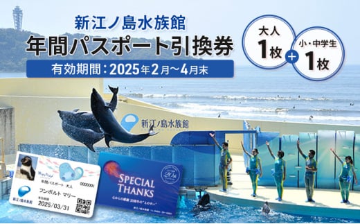 チケット 神奈川 【新江ノ島水族館】年間パスポート引換券(大人1枚+小・中学生1枚) 有効期間2025年2月～4月末まで 水族館 パスポート 入場券 江ノ島 藤沢市 神奈川県 プレゼント ギフト 1420685 - 神奈川県藤沢市