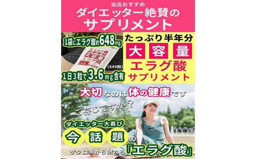 エラグ酸 サプリ 大容量約半年分エラグ酸サプリメント 540粒 1419742 - 富山県富山市