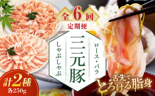 [全6回定期便]三元豚 しゃぶしゃぶセット 計500g(ロース・バラ) だし・昆布ナシ [喜茂別町][平田牧場] 肉 豚肉 ロース バラ ロース肉 バラ肉 しゃぶしゃぶ 鍋 お鍋 冷凍配送 北海道 [AJAP080] 54000 54000円