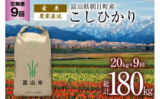 【9ヶ月定期便】玄米 20kg コシヒカリ 計180kg [有限会社 クリーンみず穂 富山県 朝日町 34310361] お米 コシヒカリ コメ ご飯 ごはん 白米 農家 直送 一等米 1419741 - 富山県朝日町