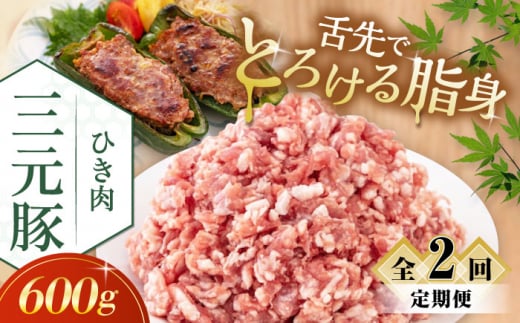 【全2回定期便】三元豚 ひき肉600g《喜茂別町》【平田牧場】 肉 豚肉 ミンチ 豚ミンチ 餃子 つくね 冷凍配送 [AJAP118] 14000 14000円 1418896 - 北海道喜茂別町