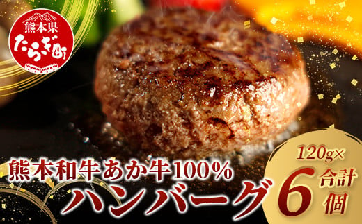 あか牛 100% ハンバーグ セット 120g×6個 NEWパッケージ 甲誠牛BOX [ ハンバーグ あか牛 牛肉 肉 熊本産 ギフト 贈り物 贈答 和牛 旨味 うま味 ぎっしり 熊本県 多良木町 牛肉 