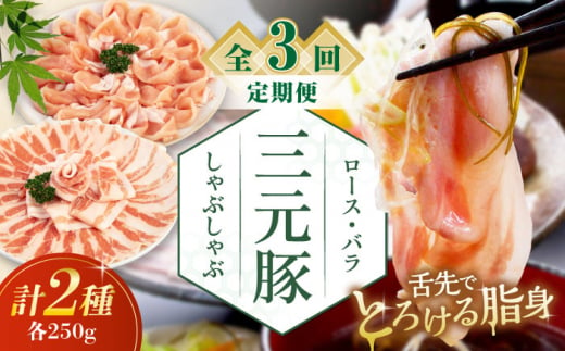 [全3回定期便]三元豚 しゃぶしゃぶセット 計500g(ロース・バラ) だし・昆布ナシ [喜茂別町][平田牧場] 肉 豚肉 ロース バラ ロース肉 バラ肉 しゃぶしゃぶ 鍋 お鍋 冷凍配送 北海道 [AJAP079] 27000 27000円