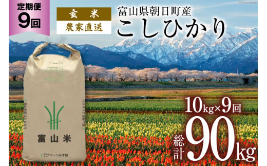 【9ヶ月定期便】玄米  こしひかり 10kg 計90kg [有限会社 クリーンみず穂 富山県 朝日町 34310355] 米 お米 コシヒカリ コメ ご飯 ごはん 白米 農家 直送 一等米 1419101 - 富山県朝日町