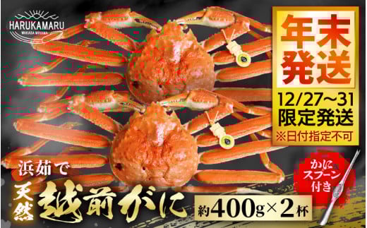 [先行予約]≪浜茹で≫ 地物!天然!はるか丸厳選!越前がに 約400g × 2杯[年末発送12/27〜12/31限定発送!] 獲れたて!茹でたてをお届けします![冷蔵 本場の味 ボイル 越前ガニ 蟹 茹で ずわいがに ズワイガニ][m36-x001_99]
