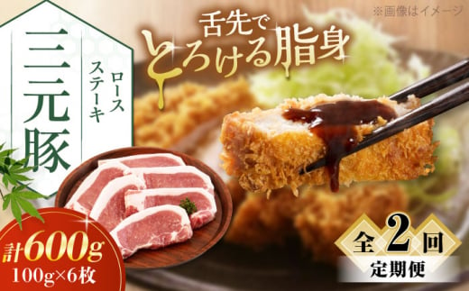 [全2回定期便]三元豚 ロースステーキ 6枚(100g/枚) 藻塩ナシ [喜茂別町][平田牧場] 肉 豚肉 ロース ステーキ ステーキ用 とんかつ トンテキ 生姜焼き 冷蔵配送 北海道 [AJAP086] 26000 26000円