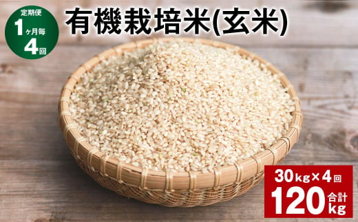 【1ヶ月毎4回定期便】 有機栽培米（玄米） 計120kg（30kg✕4回） 米 玄米 ミルキークイーン 1419225 - 大分県九重町