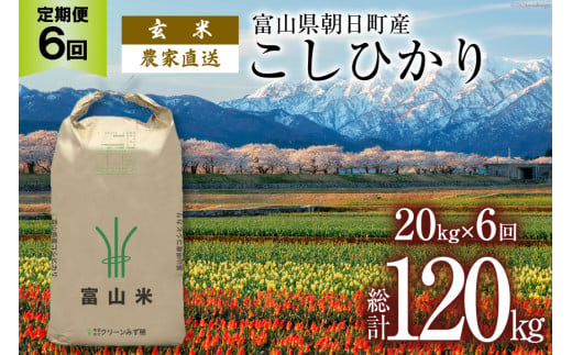 【6ヶ月定期便】玄米 20kg コシヒカリ [有限会社 クリーンみず穂 富山県 朝日町 34310360] お米 コシヒカリ コメ ご飯 ごはん 白米 農家 直送 一等米 1419740 - 富山県朝日町