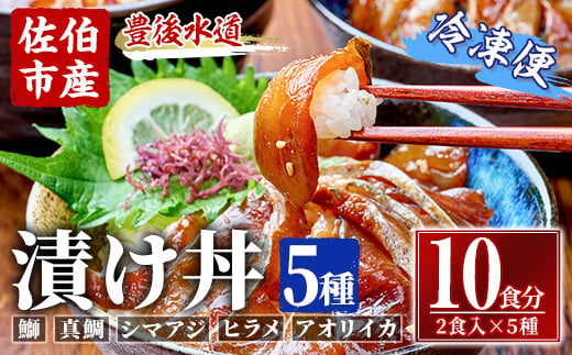 漬け丼 5種セット (計10食分・2食入×5種) りゅうきゅう あつめし 魚介 鰤 ブリ 真鯛 タイ シマアジ アジ ヒラメ 鮃 アオリイカ イカ 冷凍 海鮮 海の直売所 大分県 佐伯市【AS147】【海べ (株)】 1418948 - 大分県佐伯市