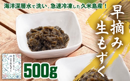 海洋深層水で洗い急速冷凍した久米島産！早摘み生もずく 500g もずく モズク 海藻 早摘み もずく酢 味噌汁 天ぷら 食物繊維 フコイダン ビタミン ミネラル アミノ酸 稀少 ぬめり コシ 海洋深層水 急速冷凍 新鮮 沖縄 久米島 1419773 - 沖縄県久米島町