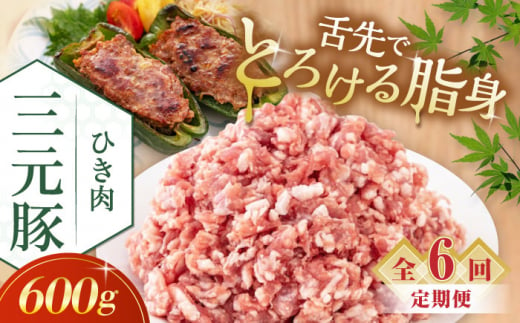 【全6回定期便】三元豚 ひき肉600g《喜茂別町》【平田牧場】 肉 豚肉 ミンチ 豚ミンチ 餃子 つくね 冷凍配送 [AJAP120] 42000 42000円 1418898 - 北海道喜茂別町