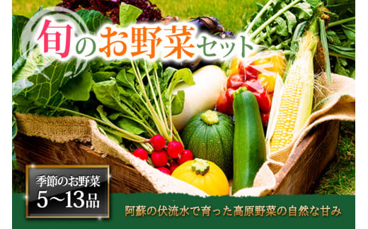 ＜畑から直送＞季節のお野菜セットをお届け！【Mサイズ】旬のお野菜の中から4～6品を厳選♪ 野菜 新鮮 野菜セット やさい 農家直送 産地直送 野菜 厳選 こだわり 朝採れ 採れたて フレッシュ サラダ 高原野菜 ジューシー 果物 フルーツ 甘い 詰め合わせ おまかせ 大地の恵み 贈り物 ギフト 便利 食卓 家族 一人暮らし 主婦 料理 お弁当 人気 おすすめ お取り寄せ 野菜 熊本県 阿蘇市 1420078 - 熊本県阿蘇市