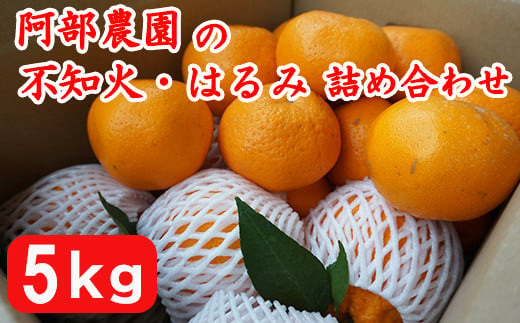 [春のよそおい]阿部農園の葉付き不知火・はるみの詰合 / みかん 柑橘類 不知火 はるみ 詰め合わせ セット 先行予約 数量限定 フルーツ [112-014_5]