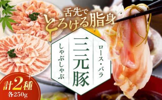 三元豚 しゃぶしゃぶセット 計500g（ロース・バラ） だし・昆布ナシ 《喜茂別町》【平田牧場】 肉 豚肉 ロース バラ ロース肉 バラ肉 しゃぶしゃぶ 鍋 お鍋 冷凍配送 [AJAP066] 9000 9000円 1418844 - 北海道喜茂別町