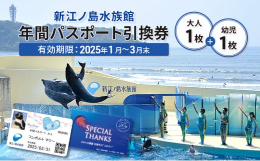 チケット 神奈川 【新江ノ島水族館】年間パスポート引換券(大人1枚+幼児1枚) 有効期間2025年1月～3月末まで 水族館 パスポート 入場券 江ノ島 藤沢市 神奈川県 プレゼント ギフト 1420689 - 神奈川県藤沢市