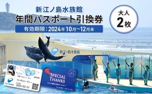 チケット 神奈川 【新江ノ島水族館】年間パスポート引換券(大人2枚) 有効期間2024年10月～12月末まで 水族館 パスポート 入場券 江ノ島 藤沢市 神奈川県 プレゼント ギフト 1420676 - 神奈川県藤沢市