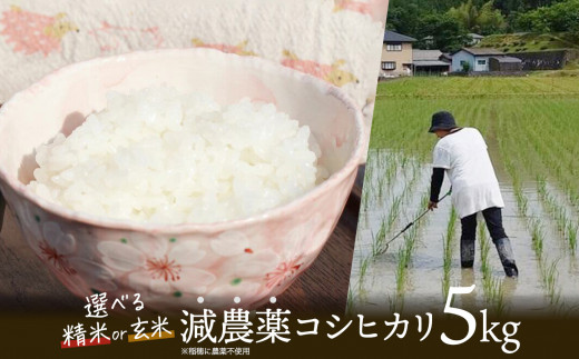 [選べる精米具合]令和6年産 新米 稲穂に農薬不使用 コシヒカリ5kg ( 精米 / 玄米 )[ 新米 こしひかり 白米 玄米 お米 米 こめ 農家直送 国産 ごはん ご飯 白飯 ゴハン ふるさと おすすめ 5キロ 選べる 京都 綾部 ]