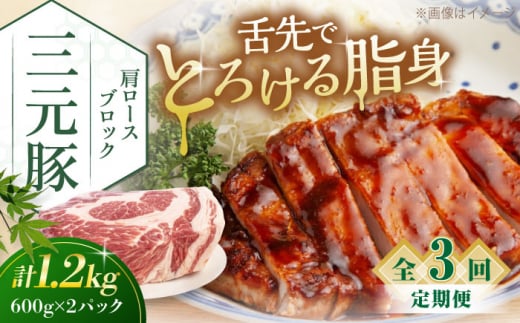 【全3回定期便】三元豚 肩ロースブロック1.2kg（600g×2パック）《喜茂別町》【平田牧場】 肉 豚肉 ロース ブロック ローストポーク 煮豚 酢豚 煮物 冷凍配送 [AJAP115] 52000 52000円 1418893 - 北海道喜茂別町