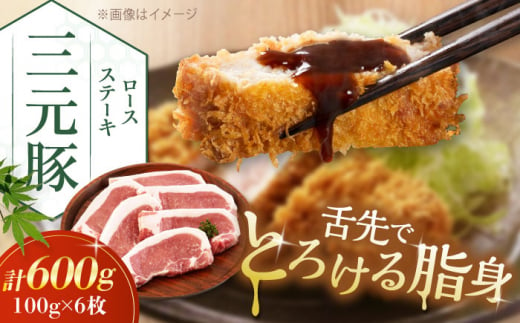 三元豚 ロースステーキ 6枚(100g/枚) 藻塩ナシ [喜茂別町][平田牧場]肉 豚肉 ロース ステーキ ステーキ用 とんかつ トンテキ 生姜焼き 冷蔵配送 北海道 [AJAP068] 13000 13000円