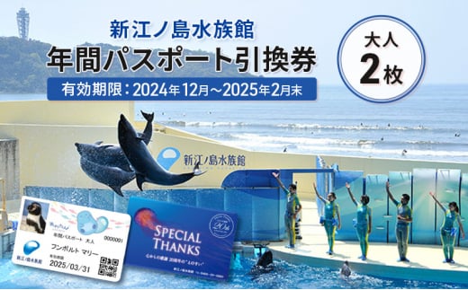 チケット 神奈川 【新江ノ島水族館】年間パスポート引換券(大人2枚) 有効期間2024年12月～2025年2月末まで 水族館 パスポート 入場券 江ノ島 藤沢市 神奈川県 プレゼント ギフト 1420678 - 神奈川県藤沢市