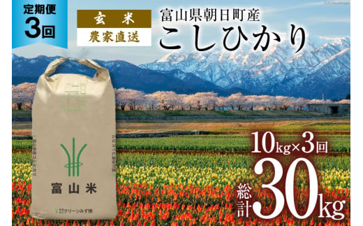 【3ヶ月定期便】玄米 こしひかり 10kg 計30kg   [有限会社 クリーンみず穂 富山県 朝日町 34310448] 米 お米 コシヒカリ コメ ご飯 ごはん 白米 農家 直送 一等米 1419144 - 富山県朝日町