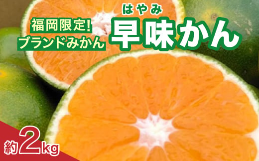 福岡限定!オリジナルブランドみかん「早味かん」約2kg(大野城市)_ フルーツ 柑橘 ミカン 蜜柑 果物 くだもの 美味しい 人気 送料無料 柑橘類 【1091055】 268890 - 福岡県大野城市