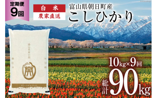 【9ヶ月定期便】米 こしひかり 精米 10kg 計 90kg[有限会社 クリーンみず穂 富山県 朝日町 34310352] お米 コシヒカリ コメ ご飯 ごはん 白米 農家 直送 一等米 1419169 - 富山県朝日町