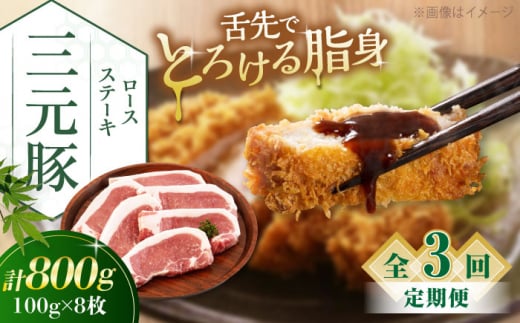 【全3回定期便】三元豚 ロースステーキ 8枚（100g/枚）  藻塩ナシ 《喜茂別町》【平田牧場】肉 豚肉 ロース ステーキ ステーキ用 とんかつ トンテキ 生姜焼き 冷蔵配送 北海道 [AJAP091] 51000 51000円 1418869 - 北海道喜茂別町