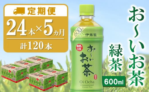 【5か月定期便】おーいお茶緑茶 600ml×24本(合計5ケース)【伊藤園 お茶 緑茶 まとめ買い 箱買い 熱中症対策 水分補給】D2-C071317 1424739 - 佐賀県基山町