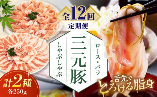 【全12回定期便】三元豚 しゃぶしゃぶセット 計500g（ロース・バラ） だし・昆布ナシ 《喜茂別町》【平田牧場】 肉 豚肉 ロース バラ ロース肉 バラ肉 しゃぶしゃぶ 鍋 お鍋 冷凍配送 [AJAP081] 108000 108000円 1418859 - 北海道喜茂別町