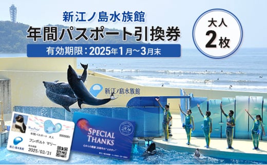 チケット 神奈川 【新江ノ島水族館】年間パスポート引換券(大人2枚) 有効期間2025年1月～3月末まで 水族館 パスポート 入場券 江ノ島 藤沢市 神奈川県 プレゼント ギフト 1420679 - 神奈川県藤沢市