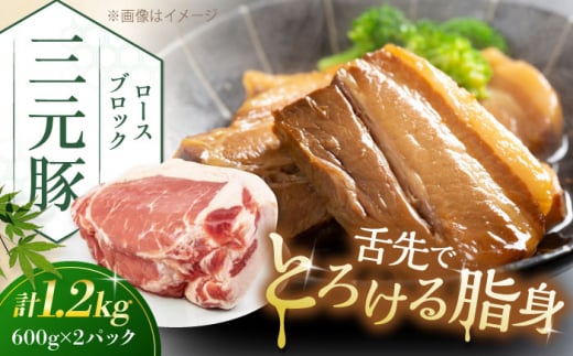 三元豚 ロースブロック1.2kg（600g×2パック）《喜茂別町》【平田牧場】 肉 豚肉 ロース ブロック ローストポーク 煮豚 酢豚 煮物 冷凍配送 [AJAP071] 18000 18000円 1418849 - 北海道喜茂別町