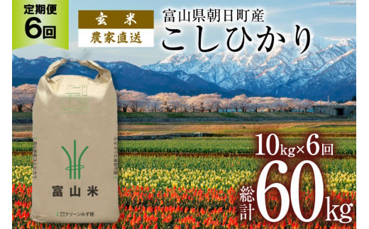 【6ヶ月定期便】玄米  こしひかり 10kg 計60kg [有限会社 クリーンみず穂 富山県 朝日町 34310354] 米 お米 コシヒカリ コメ ご飯 ごはん 白米 農家 直送 一等米 1419127 - 富山県朝日町