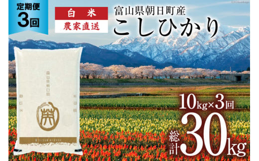 【3ヶ月定期便】米 こしひかり 精米 10kg 計30kg [有限会社 クリーンみず穂 富山県 朝日町 34310449] お米 コシヒカリ コメ ご飯 ごはん 白米 農家 直送 一等米 1419210 - 富山県朝日町