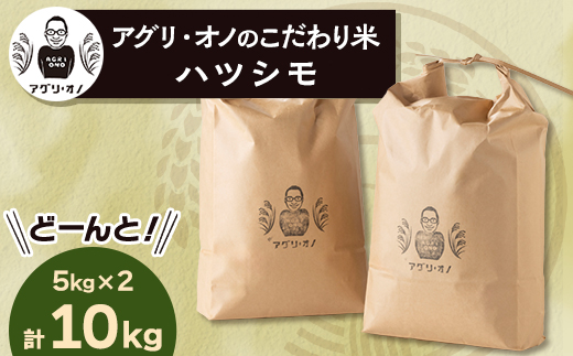 令和6年産 アグリ・オノのこだわり米　ハツシモ　10kg(5kg×2)【1101640】 1318755 - 岐阜県養老町