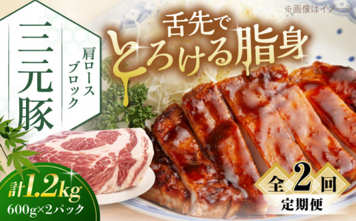 [全2回定期便]三元豚 肩ロースブロック1.2kg(600g×2パック)[喜茂別町][平田牧場] 肉 豚肉 ロース ブロック ローストポーク 煮豚 酢豚 煮物 冷凍配送 北海道 [AJAP114] 35000 35000円