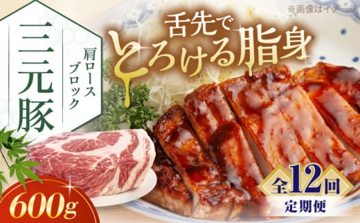 【全12回定期便】三元豚 肩ロースブロック600g《喜茂別町》【平田牧場】 肉 豚肉 ロース ブロック ローストポーク 煮豚 酢豚 煮物 冷凍配送 北海道 [AJAP113] 120000 120000円 12万円 1418891 - 北海道喜茂別町