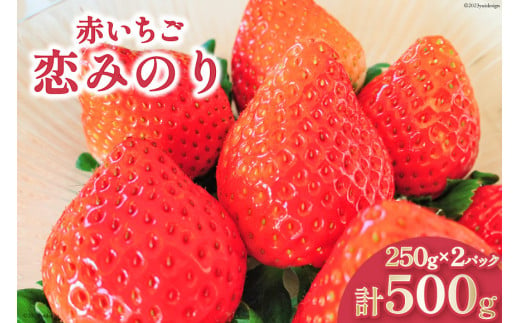 【12月22〜23日お届け】 いちご 赤いちご 恋みのり 250g×2パック [トトノウ 長崎県 雲仙市 item1414-1] 苺 イチゴ  クリスマス フルーツ 果物 くだもの 期間限定 季節限定|株式会社トトノウ