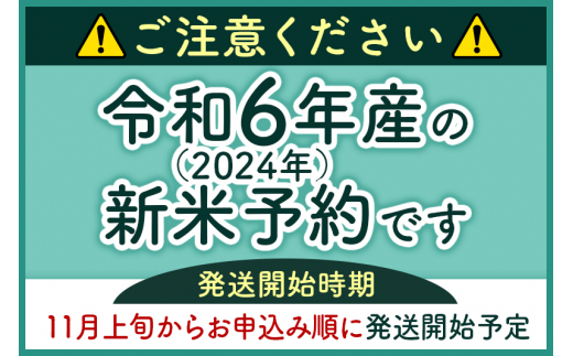 令和6年産 新米予約※秋田県産 あきたこまち 10kg【白米】(5kg小分け袋)【1回のみお届け】2024産 お届け時期選べる お米 藤岡農産 -  秋田県北秋田市｜ふるさとチョイス - ふるさと納税サイト