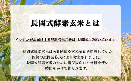 長岡式酵素玄米専用内鍋、サンナトリウム、あずき 他６点 - その他