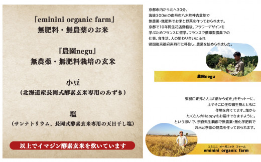 定期便6回】酵素玄米ごはん(長岡式)41個 | 玄米 げんまい ゲンマ イ 酵素玄米 美容 健康 酵素 パウチ 冷凍 ヘルシー 米 奈良県 平群町  3日間寝かせた - 奈良県平群町｜ふるさとチョイス - ふるさと納税サイト