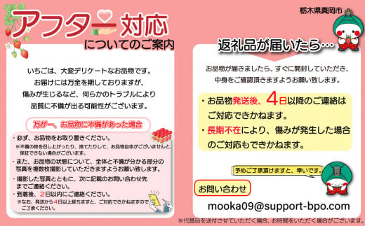 栃木県真岡市のふるさと納税 【先行予約】朝採れ！完熟 いちご ！とちあいか 特大 たっぷり徳用 1.4㎏ | 苺 ストロベリー 人気 名産地 数量限定 真岡市 栃木県 送料無料