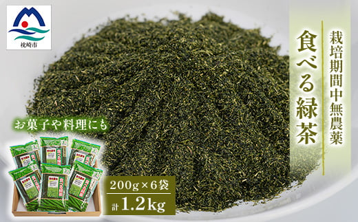 お茶の健康成分を丸ごと摂取!『食べる緑茶』＜200g×6袋＞“お菓子や料理などに使える”A3-269【1167062】 1526797 - 鹿児島県枕崎市