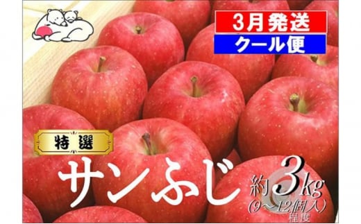 【クール便】3月発送 白熊 特選 サンふじ 絆 約3kg 糖度13度【弘前市産 青森りんご】 1026154 - 青森県弘前市