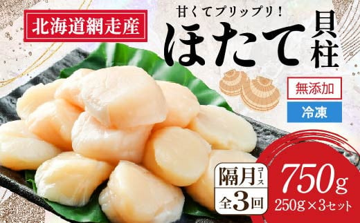 【全3回（隔月）】網走前浜産 無添加ホタテ貝柱750g（250g×3袋）【 ホタテ ほたて 帆立 貝柱 ホタテ貝柱 ほたて貝柱 帆立貝柱 刺身 ホタテ刺身 刺身ホタテ ほたて刺身 刺身ほたて 帆立刺身 北海道 国産 北海道産 魚介 魚介類 海鮮 小分け 天然 定期便 送料無料 人気 ランキング おすすめ 】ABAI034