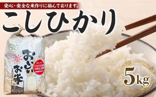 【期間限定】【令和6年産 新米】こしひかり 5kg（農薬・化学肥料不使用）【米 こめ お米 白米 精米 ブランド米 ご飯 人気 徳島 】 1387641 - 徳島県徳島市