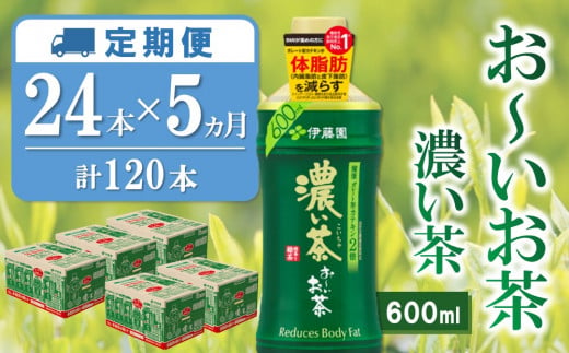 【5か月定期便】おーいお茶濃い茶 600ml×24本(合計5ケース)【伊藤園 お茶 緑茶 濃い 渋み まとめ買い 箱買い ケース買い カテキン 2倍 体脂肪】D2-C071324 1424745 - 佐賀県基山町