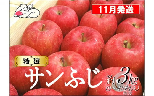 【11月発送】白熊 特選 サンふじ 絆 約3kg 糖度13度【弘前市産 青森りんご】 1026150 - 青森県弘前市